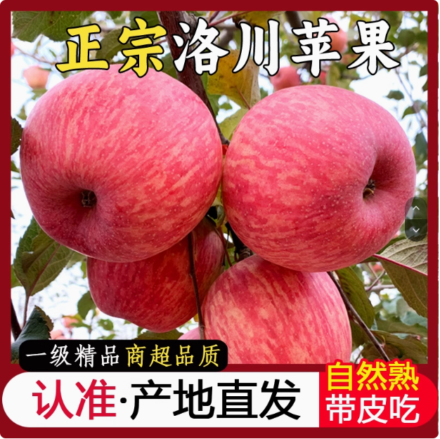 正宗陕西洛川苹果水果新鲜红富士当季整箱一级脆甜产地直发10斤