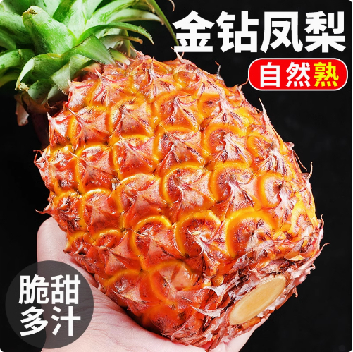 海南金钻凤梨10斤新鲜水果当季芒果凤梨手撕香水菠萝特产无眼