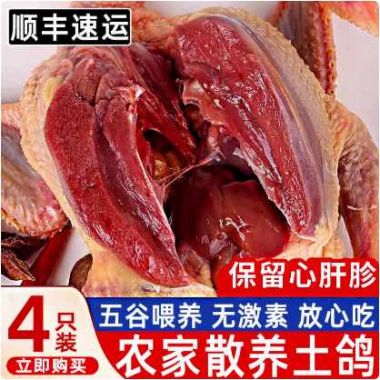 散养新鲜鸽子滋补带头带爪保留心肝顺丰冷链发货肉鸽土鸽老鸽食用